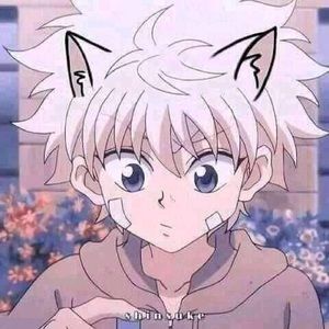 Meet your Posher, Lilly